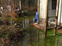standard back yard flood